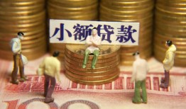 成都25贷款网-成都25私借空放免费上门-成都25做生意贷款